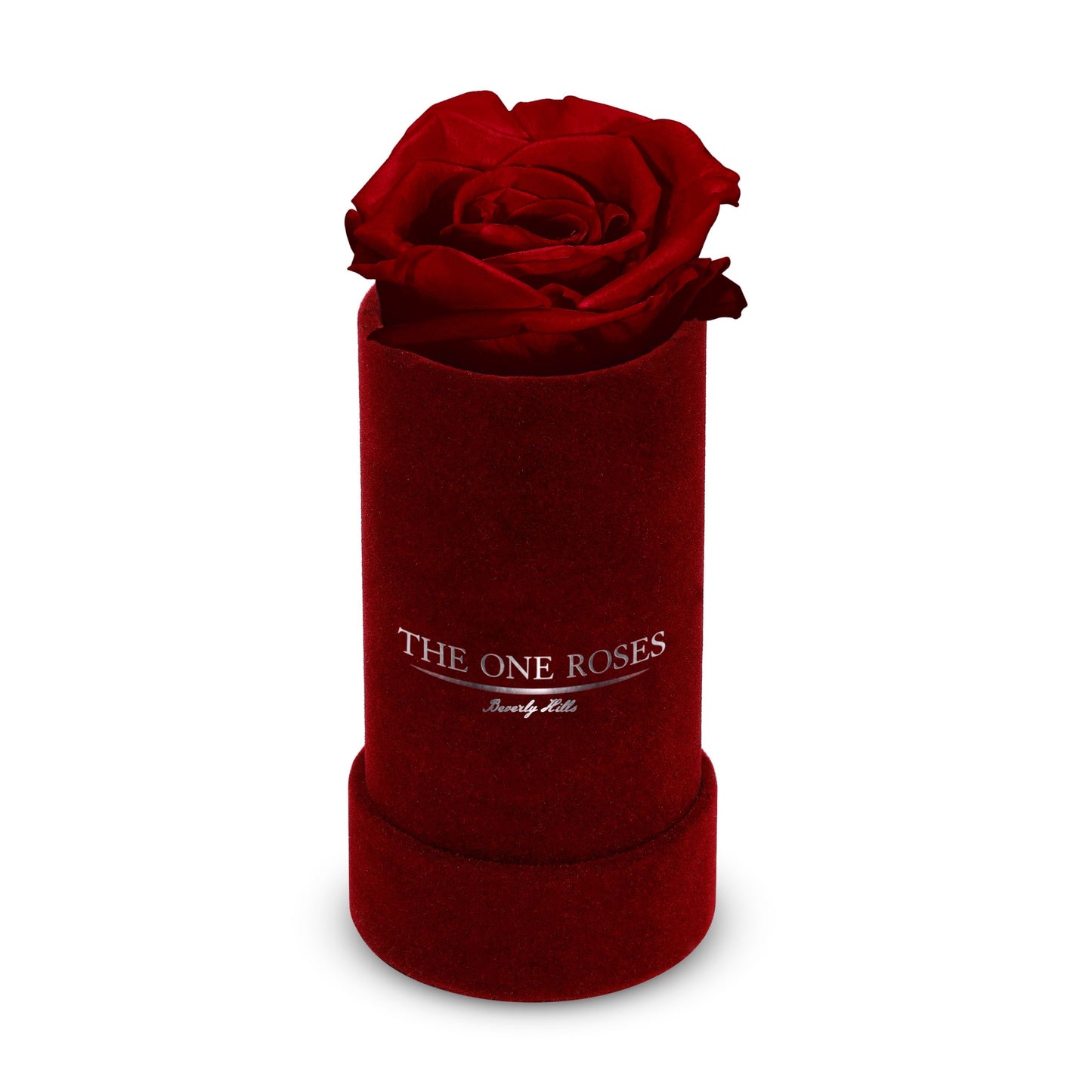 Suede Single | The One Burgundy Box