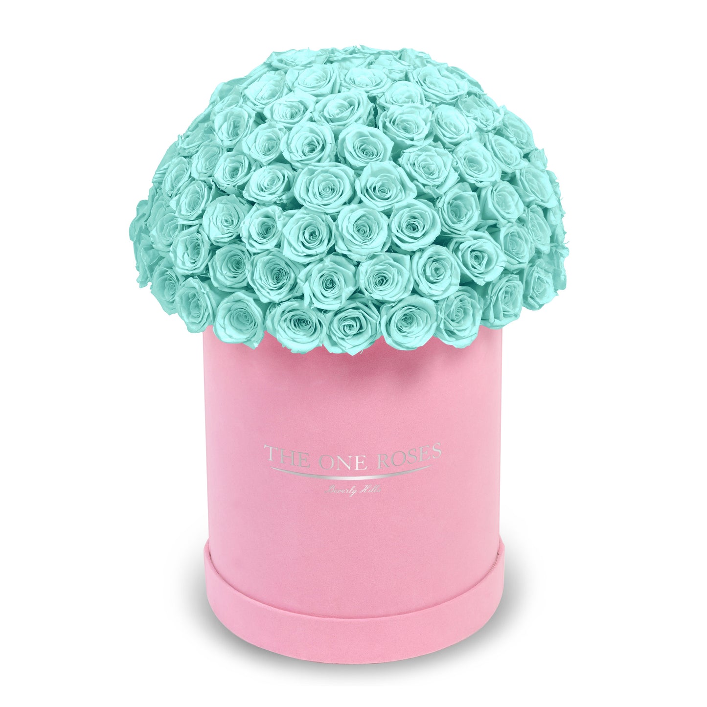 Suede Dome Deluxe | Premium Pink Box