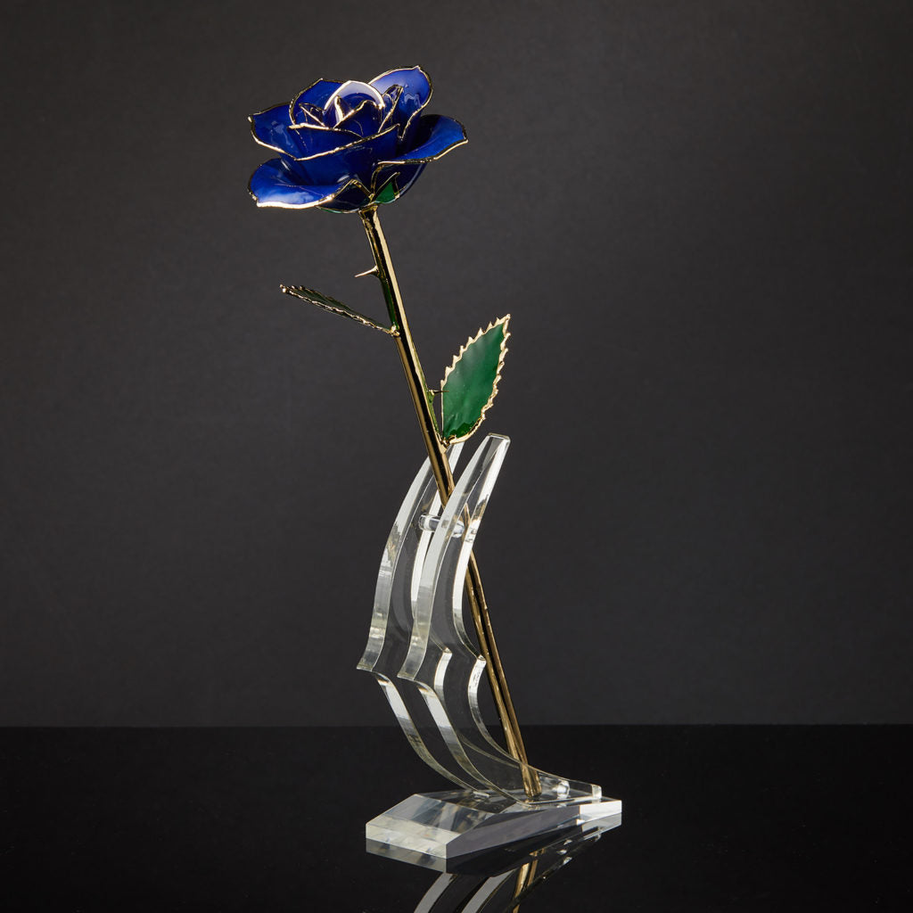 24K Gold Dipped Rose - Blue Velvet
