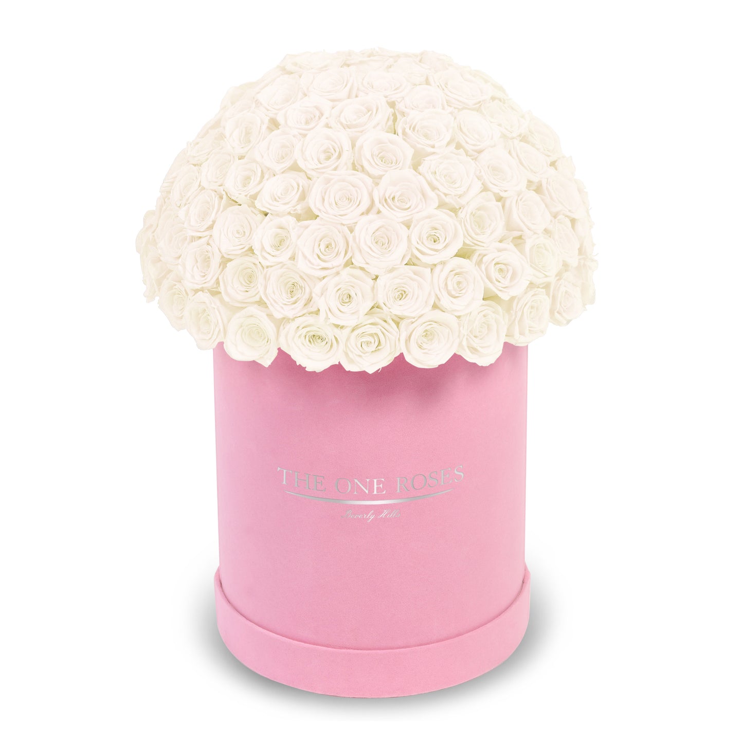 Suede Dome Deluxe | Premium Pink Box