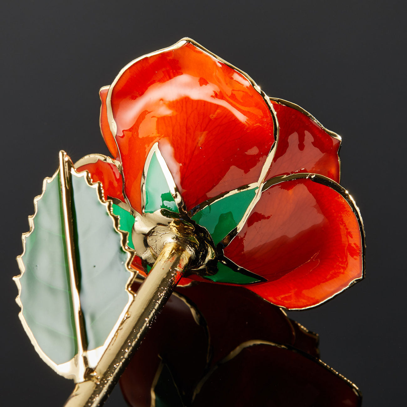 24k Gold Dipped Rose - Tangerine Dream