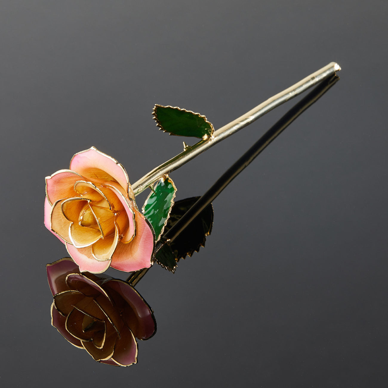 24k Gold Dipped Rose - Peaches and Cream