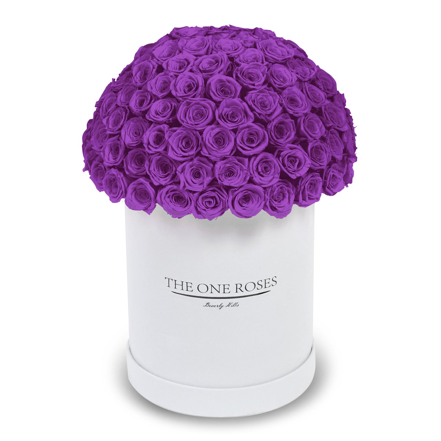 Suede Dome Deluxe | Premium White Box