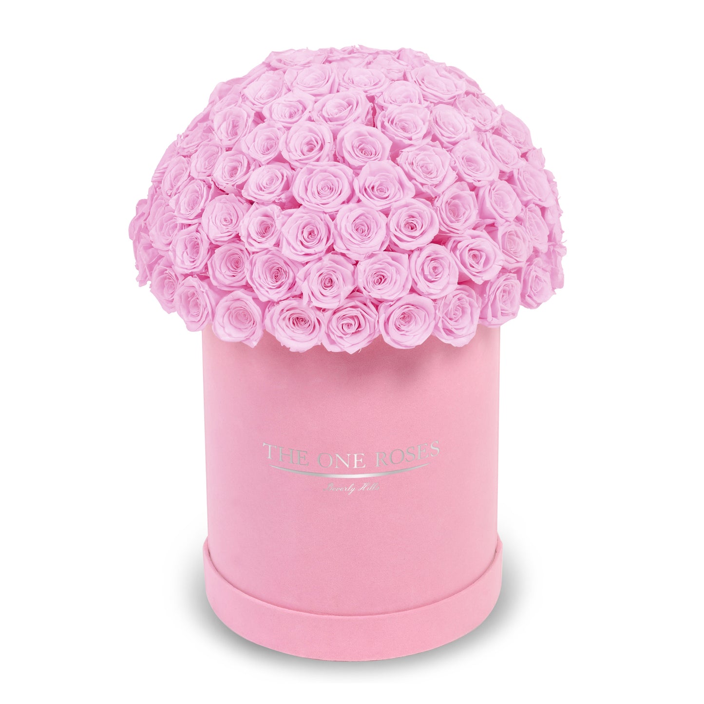 Suede Dome Deluxe | Premium Pink Box
