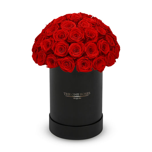 Round Dome | Basic Black Box