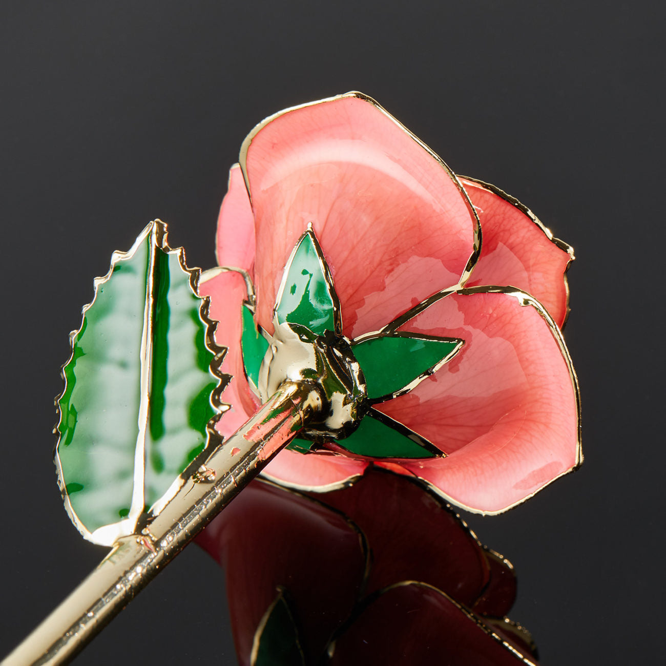 24k Gold Dipped Rose - Pink Perfection