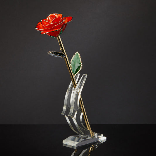 24k Gold Dipped Rose - Tangerine Dream