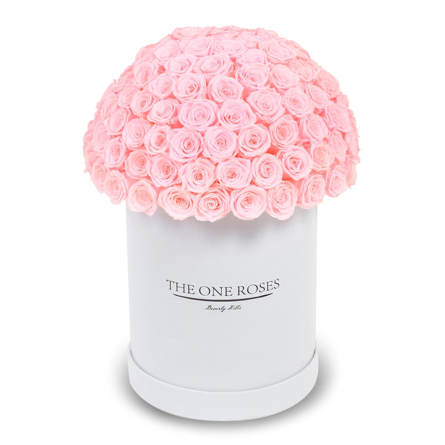 Suede Dome Deluxe | Premium White Box