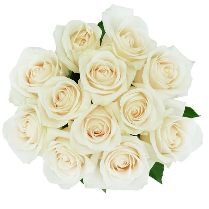 The One Rose Bouquet