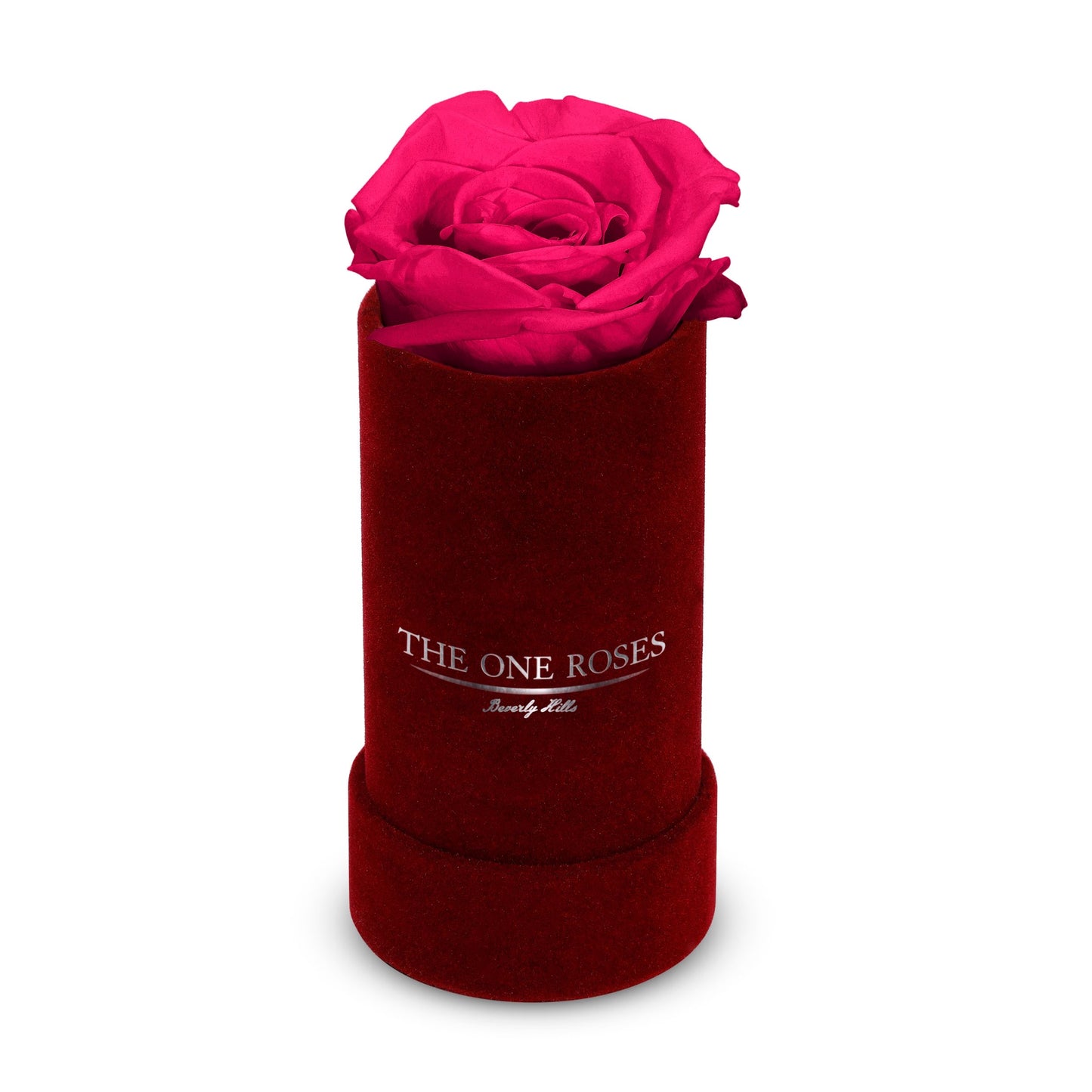 Suede Single | The One Burgundy Box