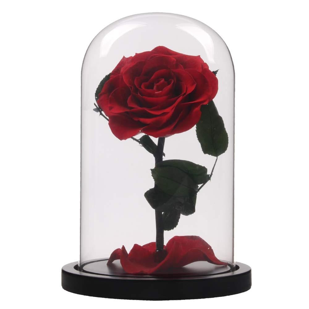 Enchanted Rose in a Glass Dome