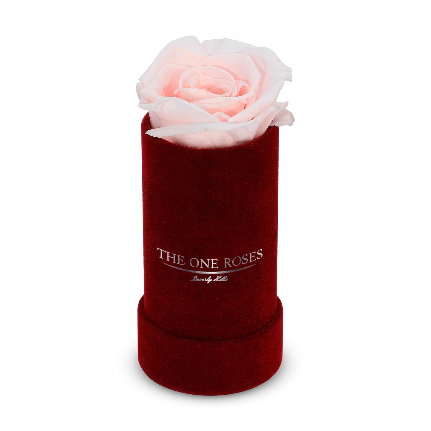 Suede Single | The One Burgundy Box