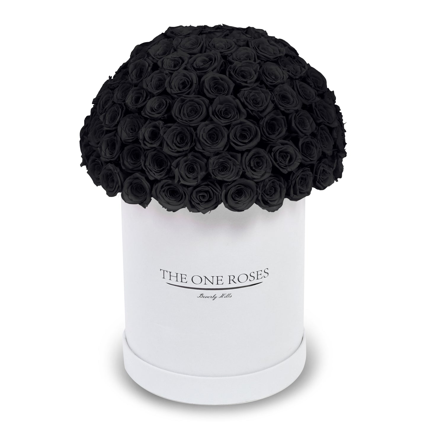 Suede Dome Deluxe | Premium White Box
