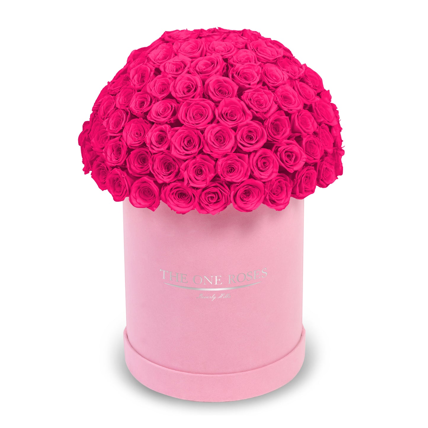 Suede Dome Deluxe | Premium Pink Box