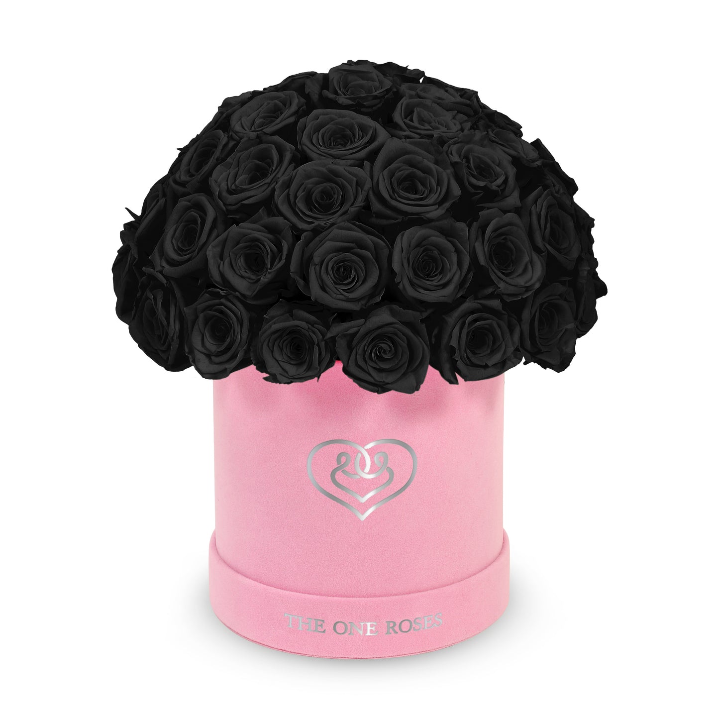 Suede Dome | Basic Pink Box