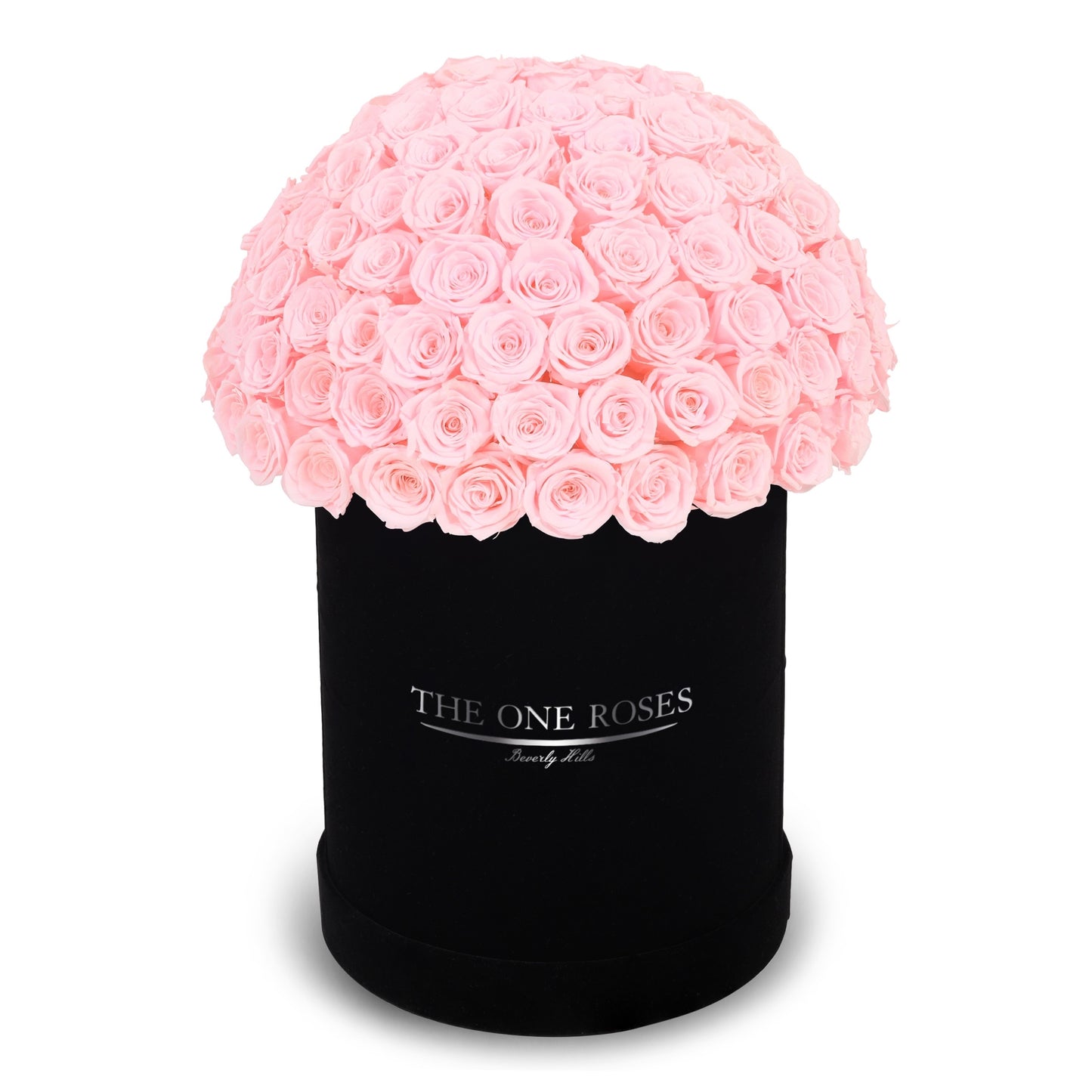 Suede Dome Deluxe | Premium Black Box