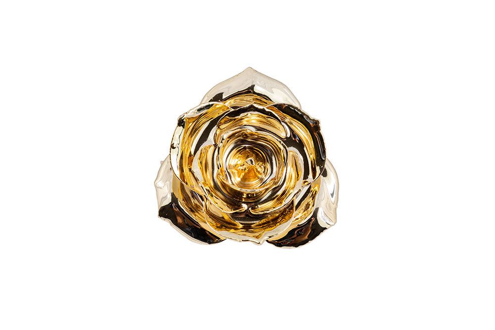 24k Gold Dipped Rose - Gold