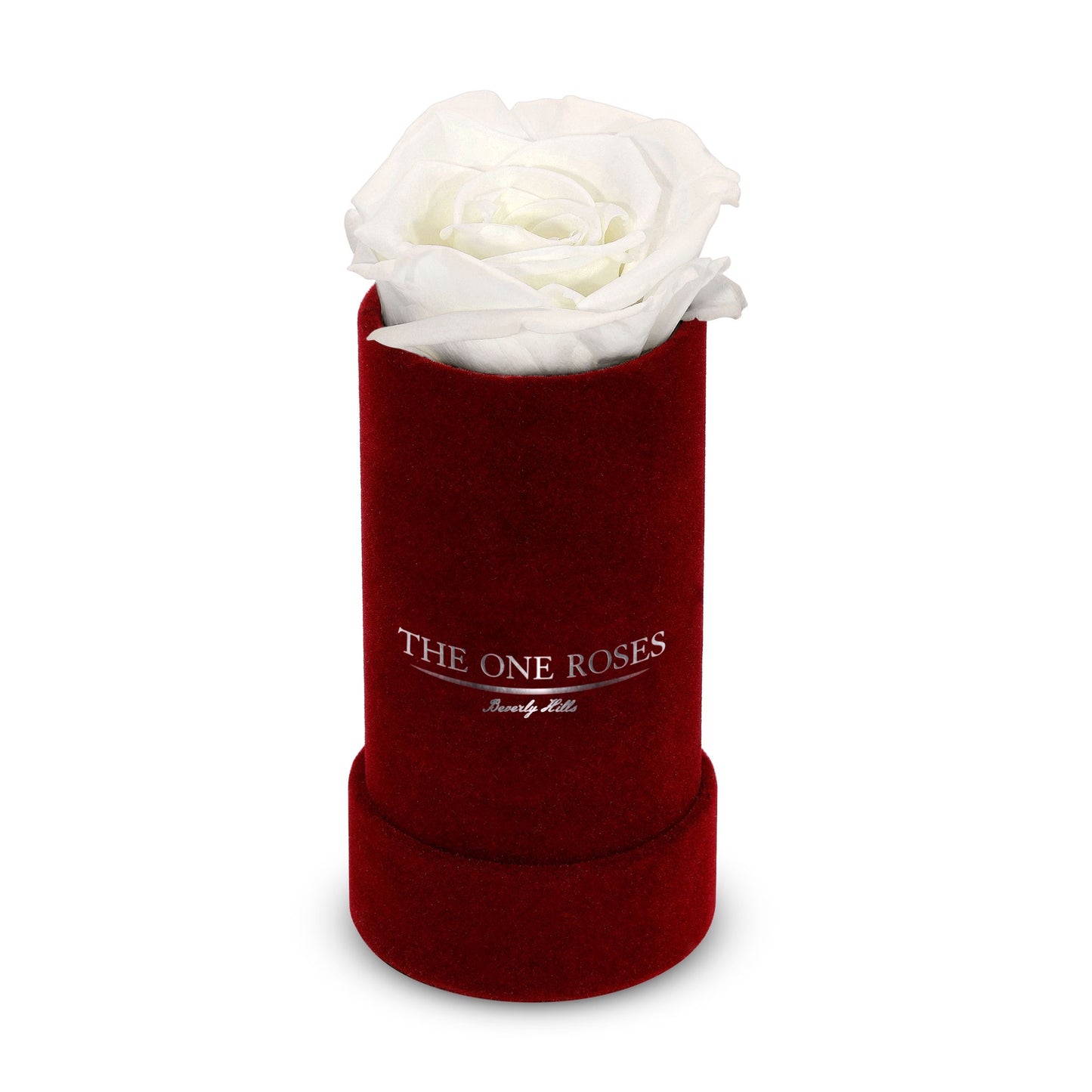 Suede Single | The One Burgundy Box