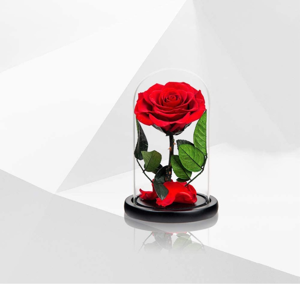 Enchanted Rose in a Glass Dome