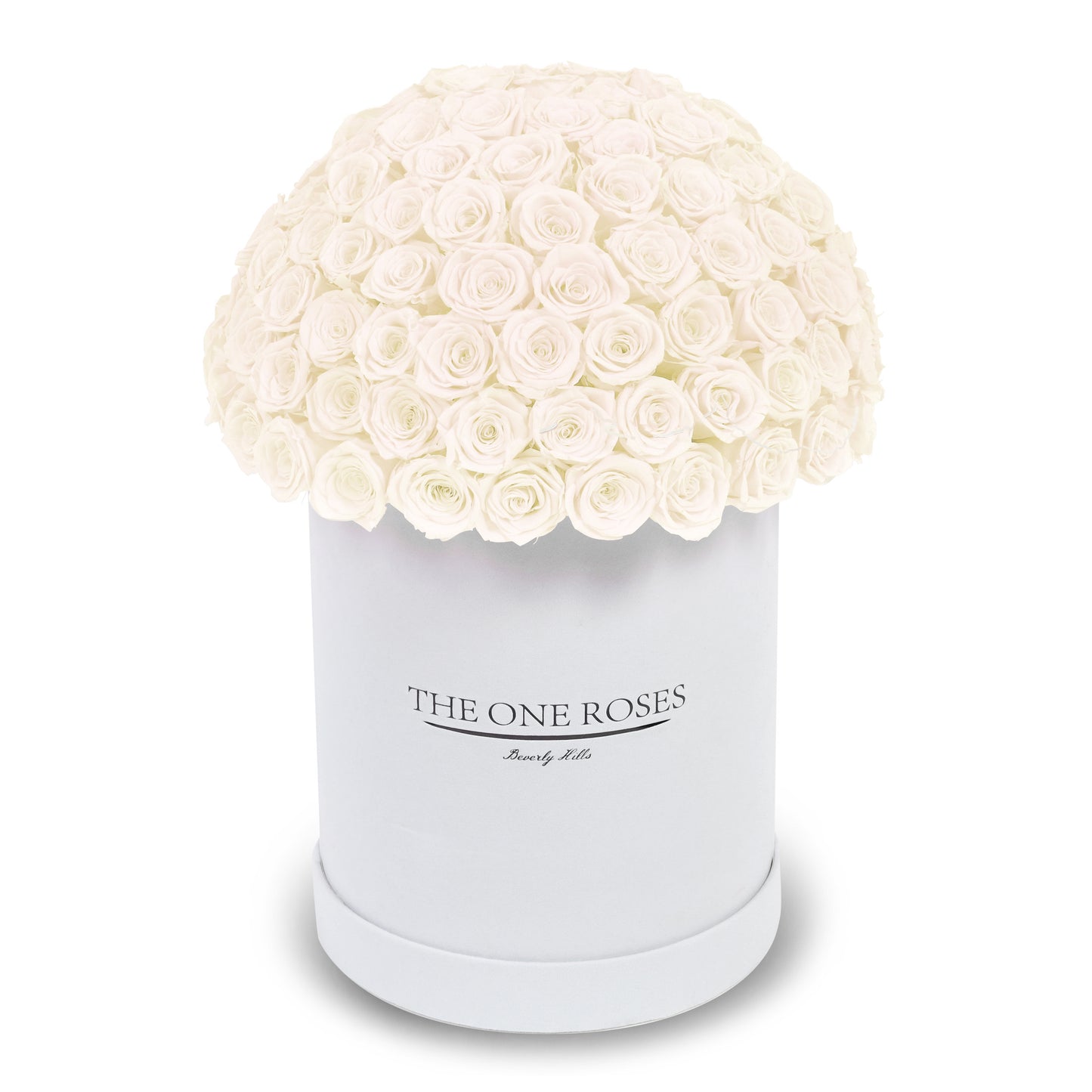 Suede Dome Deluxe | Premium White Box