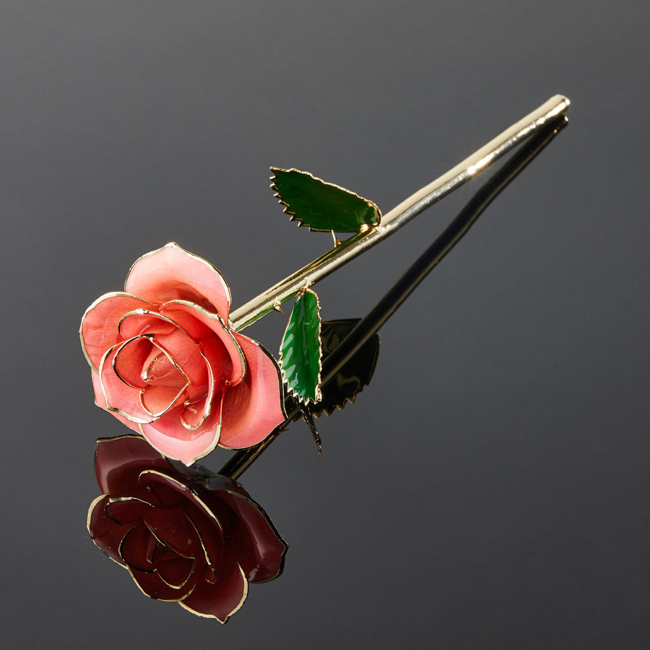 24k Gold Dipped Rose - Pink Perfection